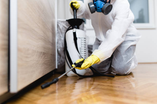 Best Emergency Pest Control  in Queensland, MD