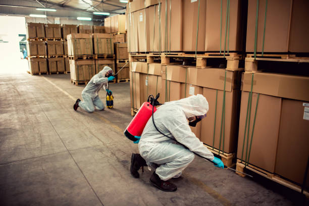 Best Wasp Removal Services  in Queensland, MD