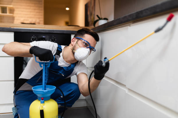 Pest Control Cost in Queensland, MD