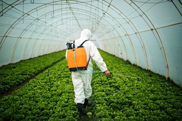 Pest Prevention Services in Queensland, MD