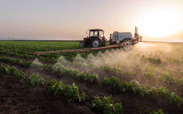 Best Mosquito Control Services  in Queensland, MD