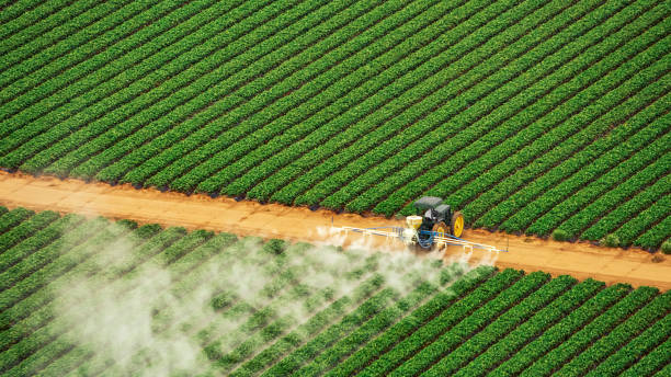 Trusted Queensland, MD Pest Control Experts